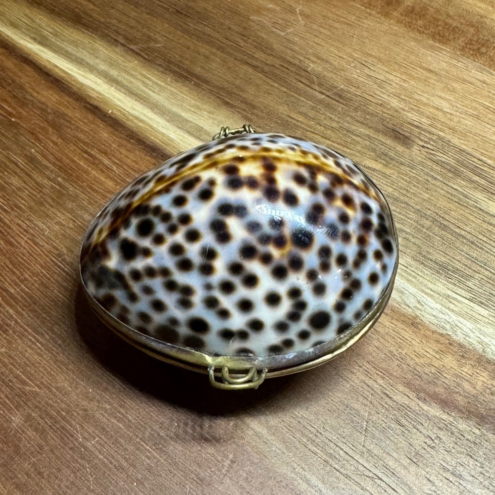 Vtg Tiger Cowry Shell Trinket Box Brass Hinge Spotted Sea Shell Keepsake Case